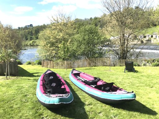 kayaks